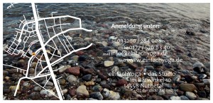 Flyer 2